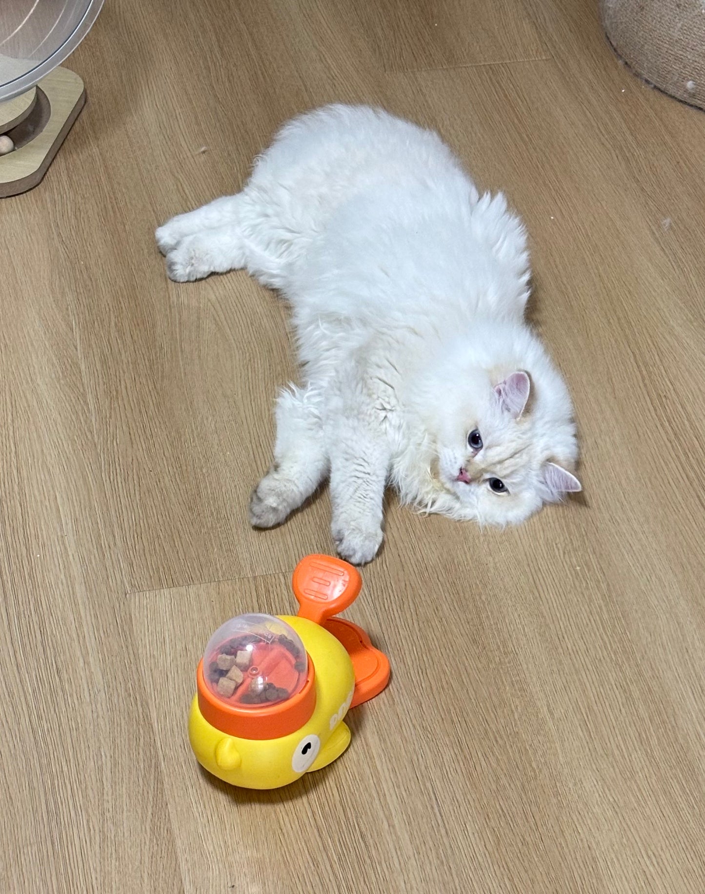 AD:Yellow Duck Food Dispensing Toy